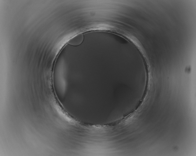 X0000111910850200907271220