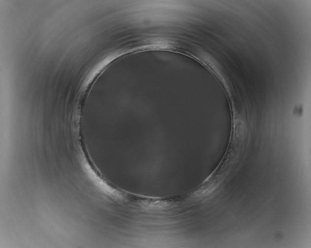 X0000111910851200907271220