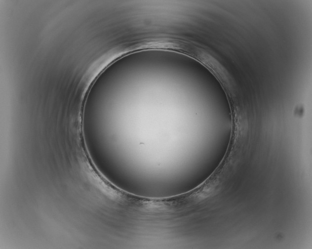 X0000111910852200907271220
