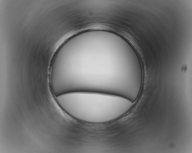 X0000111910853200907271220