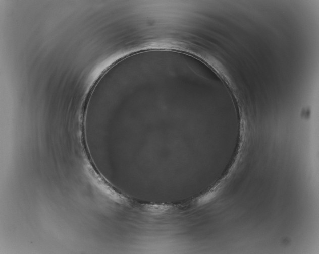 X0000111910854200907271220