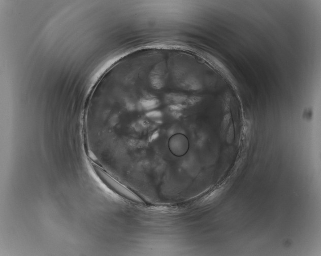 X0000111910855200907271220
