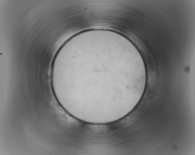 X0000111910856200907271220
