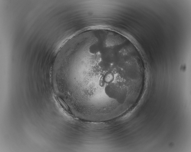 X0000111910857200907271220