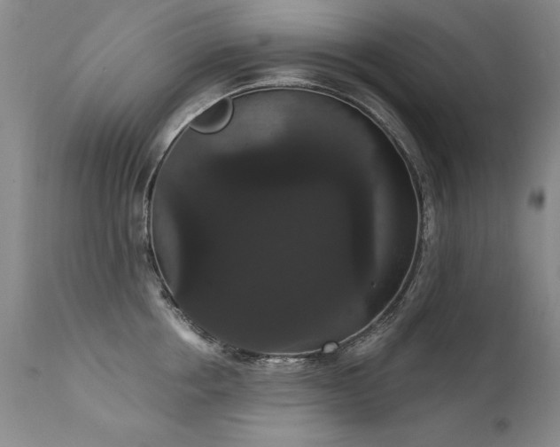 X0000111910858200907271220