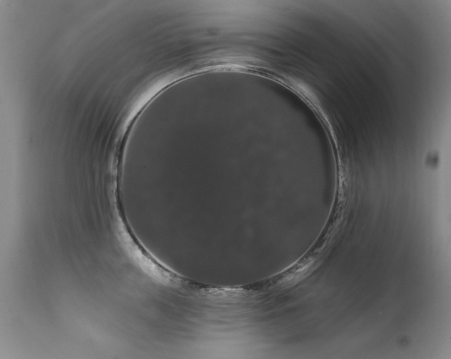 X0000111910859200907271220