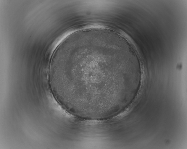 X0000111910860200907271220
