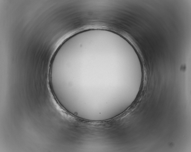 X0000111910861200907271220