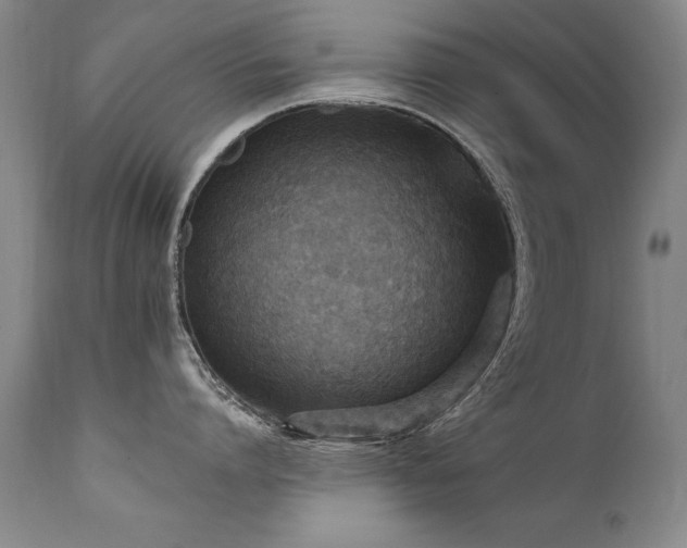 X0000111910864200907271220