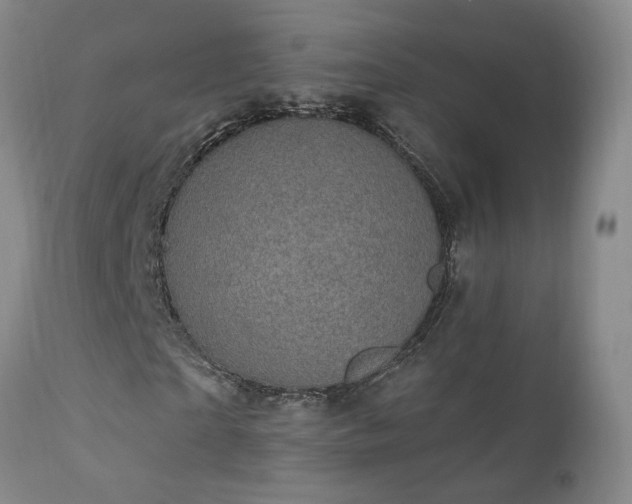 X0000111910865200907271220