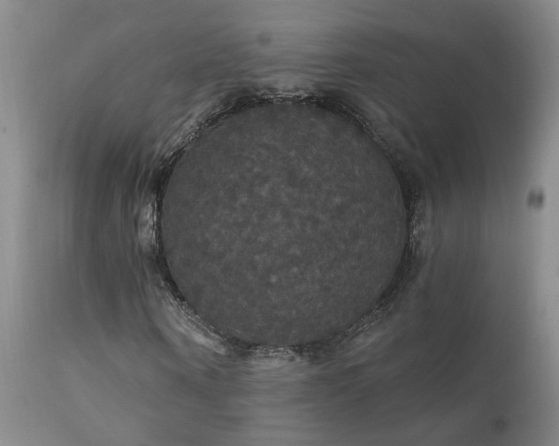 X0000111910866200907271220