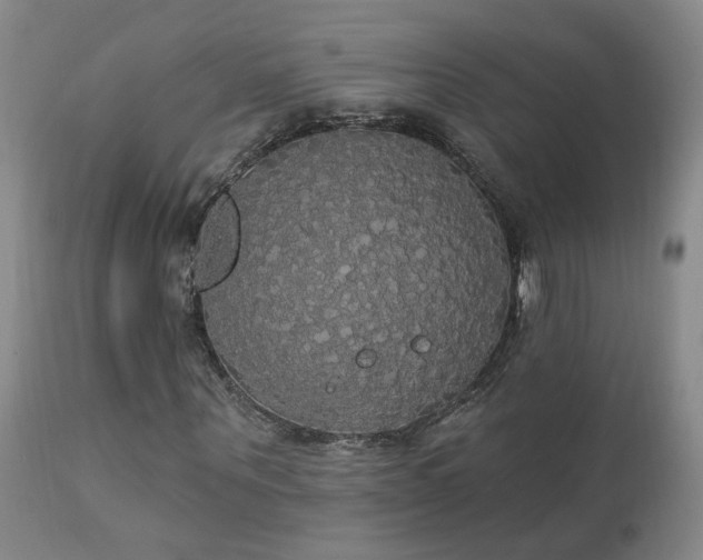 X0000111910867200907271220
