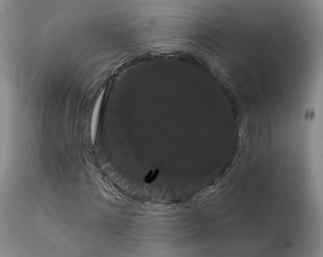 X0000111910868200907271219