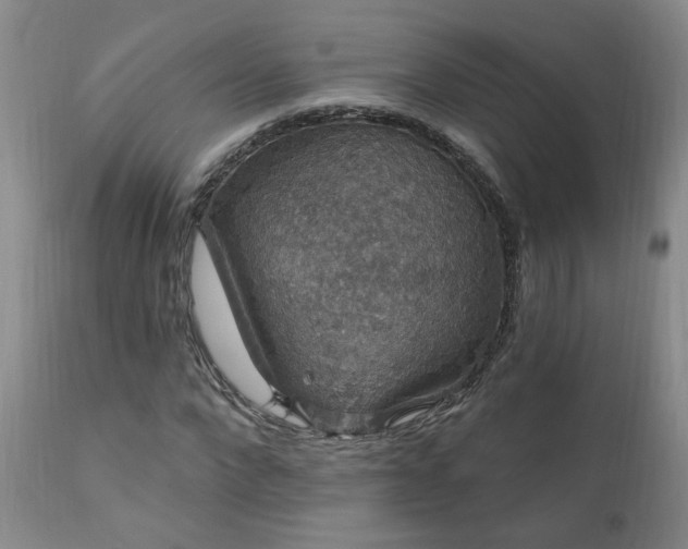 X0000111910872200907271219
