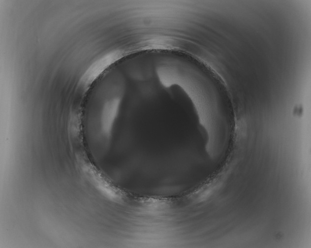 X0000111910874200907271219
