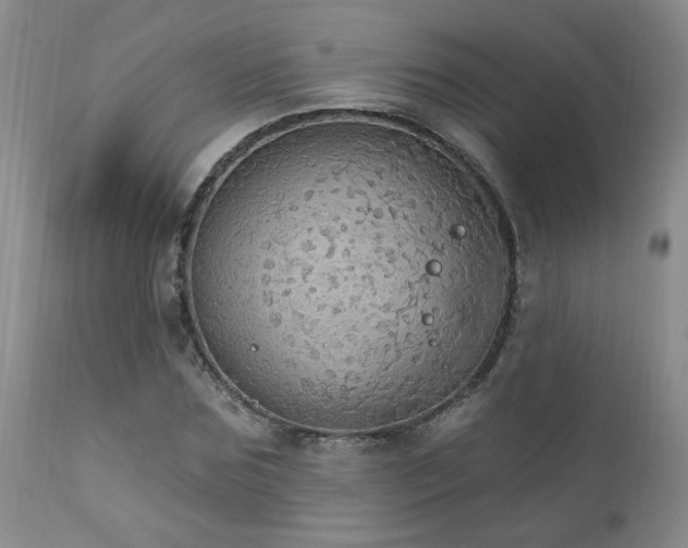 X0000111910875200907271219