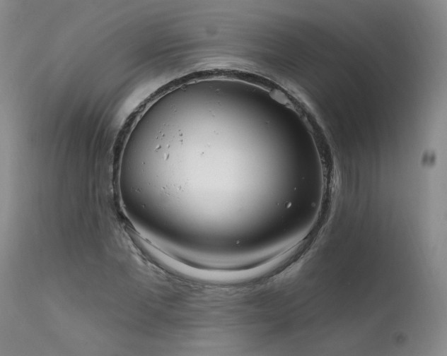 X0000111910877200907271219