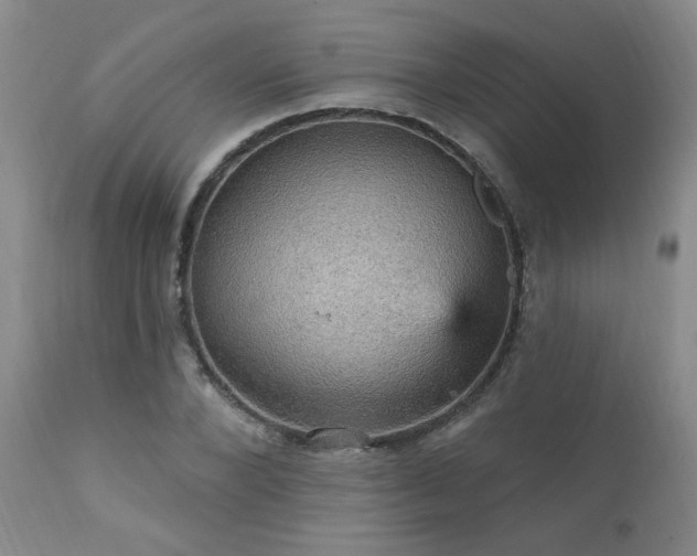 X0000111910880200907271219