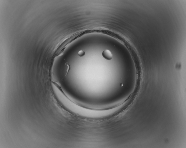 X0000111910881200907271219