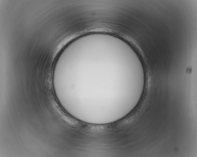 X0000111910882200907271219