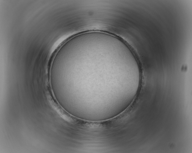 X0000111910886200907271219