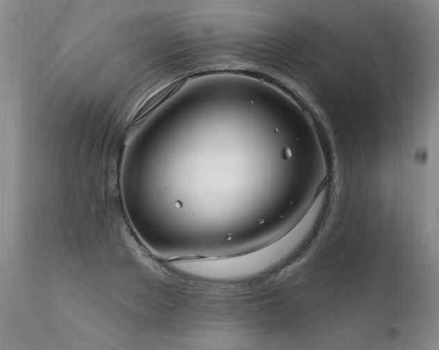 X0000111910889200907271219