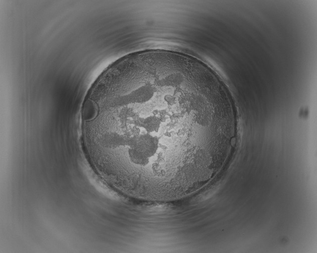 X0000111910891200907271219