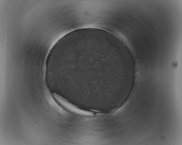 X0000111910892200907271219