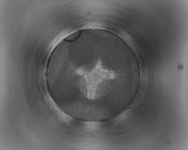 X0000111910893200907271219