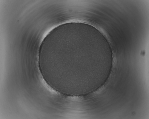 X0000111910896200907271219