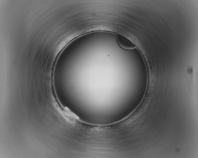 X0000111910898200907271219