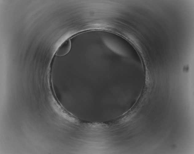X0000111910899200907271219