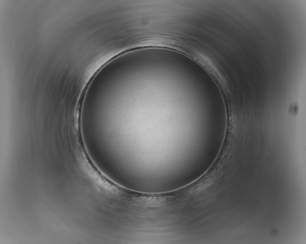 X0000111910900200907271219