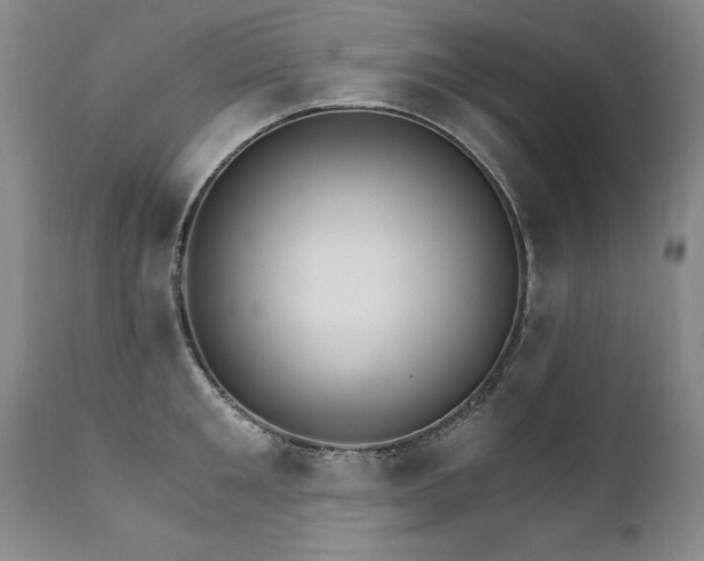 X0000111910901200907271219