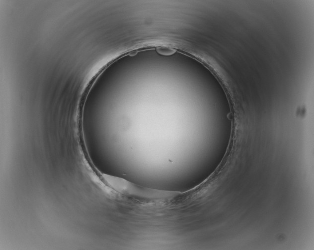 X0000111910902200907271219