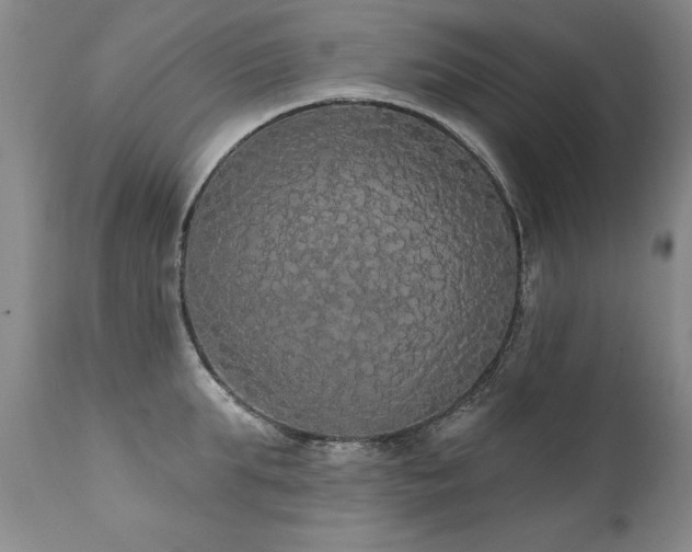 X0000111910903200907271219