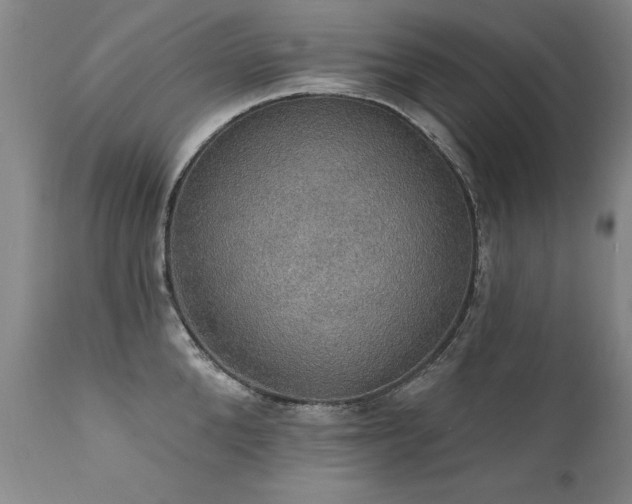 X0000111910904200907271219