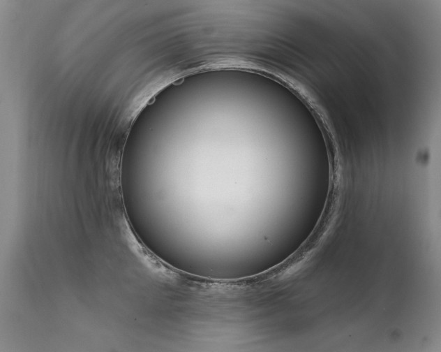 X0000111910905200907271219