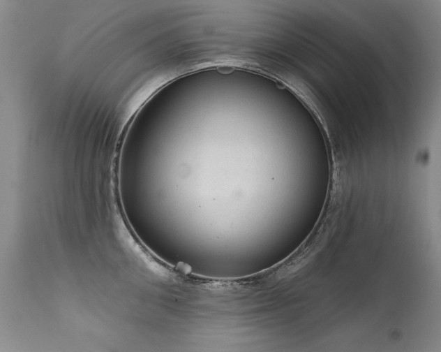 X0000111910906200907271219