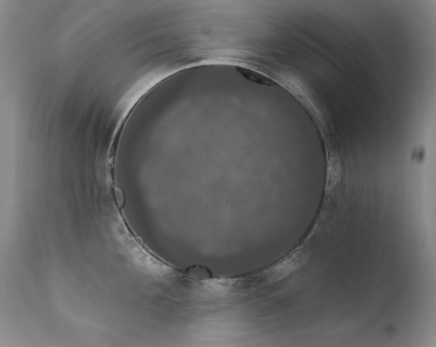 X0000111910908200907271219