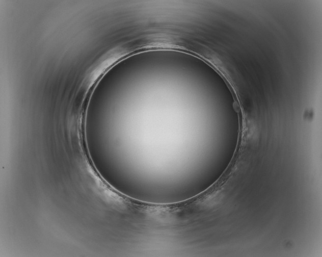 X0000111910909200907271219