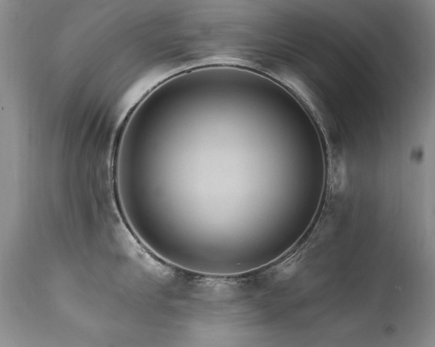 X0000111910910200907271219