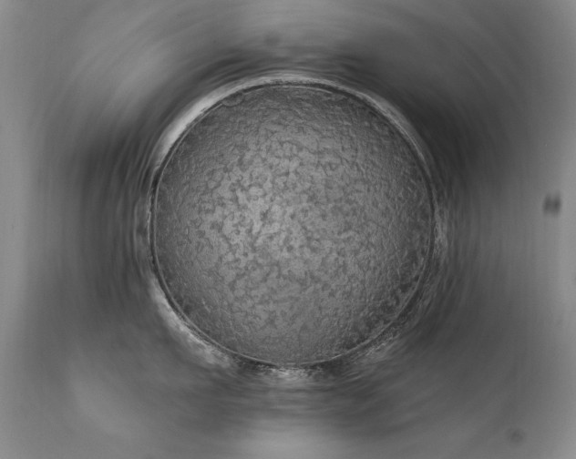 X0000111910911200907271219