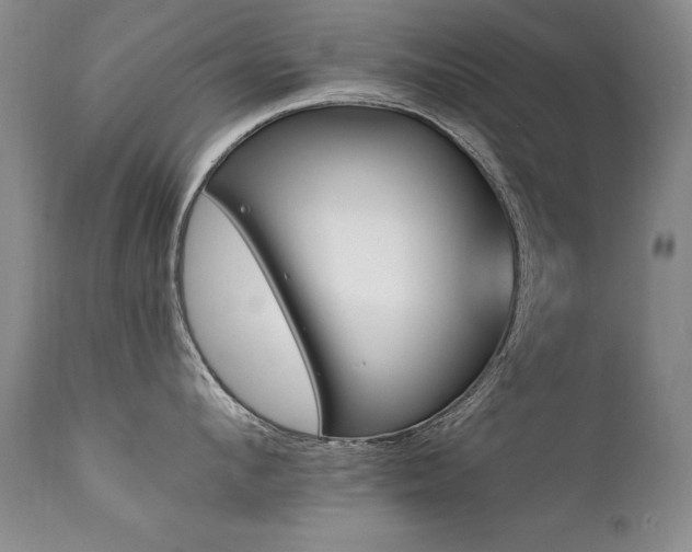 X0000111910912200907271219