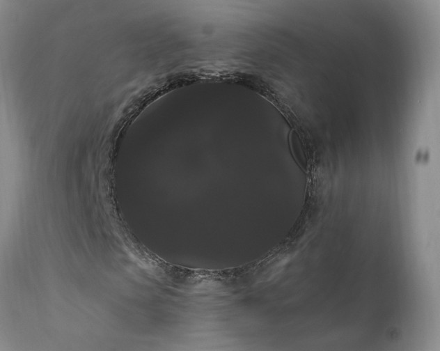 X0000111910913200907271218