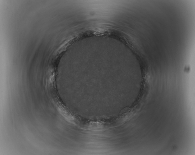 X0000111910914200907271218
