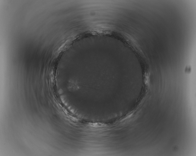 X0000111910915200907271218