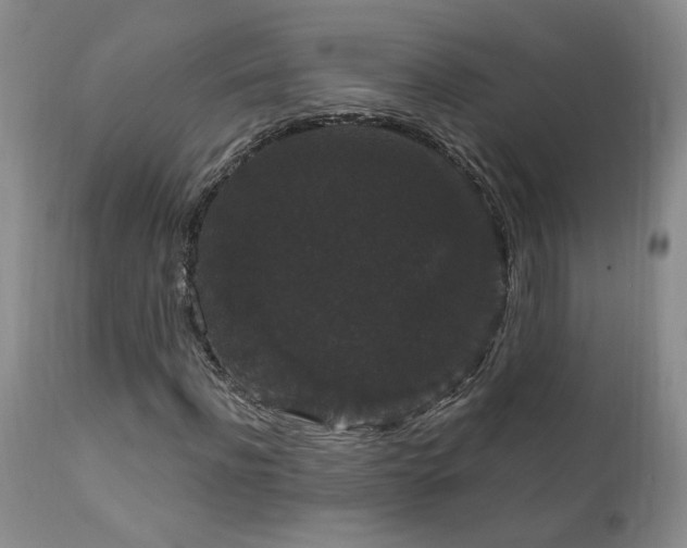 X0000111910916200907271218