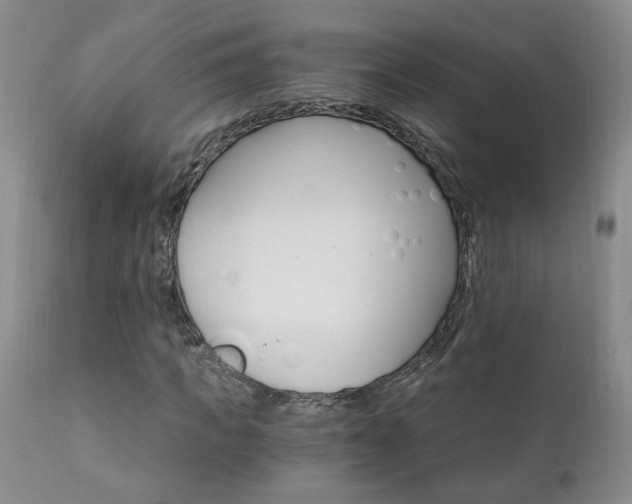 X0000111910917200907271218