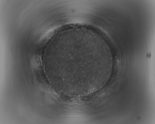X0000111910918200907271218